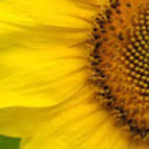 Meet your Posher, Deb